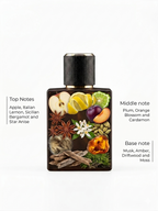 XPLORE 50ML