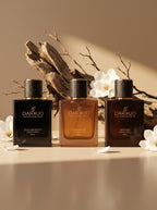 DARKUD Signature Luxury Perfume Trio OUD MAJESTY • ROMANCE • SAPHIRE  3 × 50 ML | Extrait de Parfum