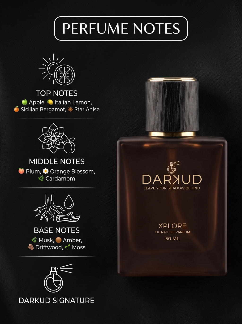 XPLORE 50ML